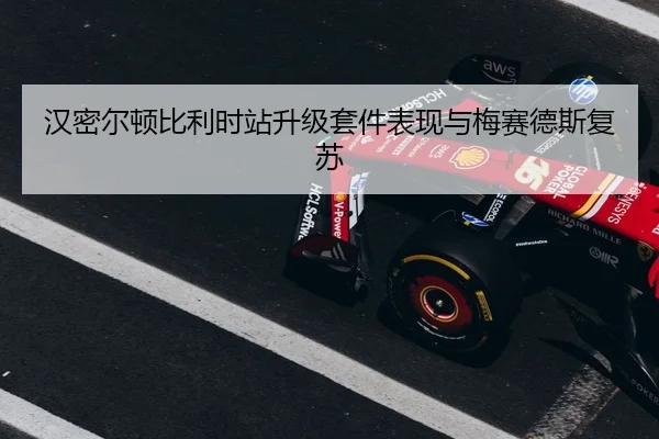 han-mi-er-dun-bi-li-shi-zhan-sheng-ji-tao-jian-biao-xian-yu-mei-sai-de-si-fu-su-3-590.jpg