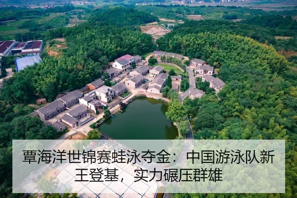 覃海洋世锦赛蛙泳夺金：中国游泳队新王登基，实力碾压群雄
