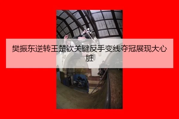 樊振东逆转王楚钦关键反手变线夺冠展现大心脏