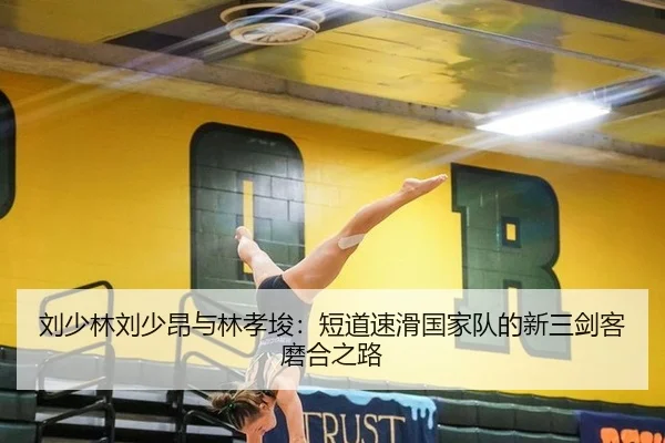 刘少林刘少昂与林孝埈：短道速滑国家队的新三剑客磨合之路