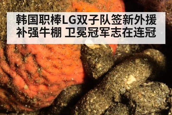 韩国职棒LG双子队签新外援补强牛棚 卫冕冠军志在连冠